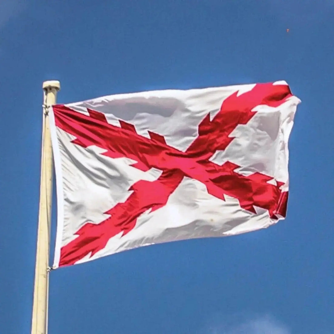 La Cruz de Borgoña: origen, historia y significado del estandarte de la Monarquía Hispánica